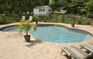 Lush backyard swimming pool